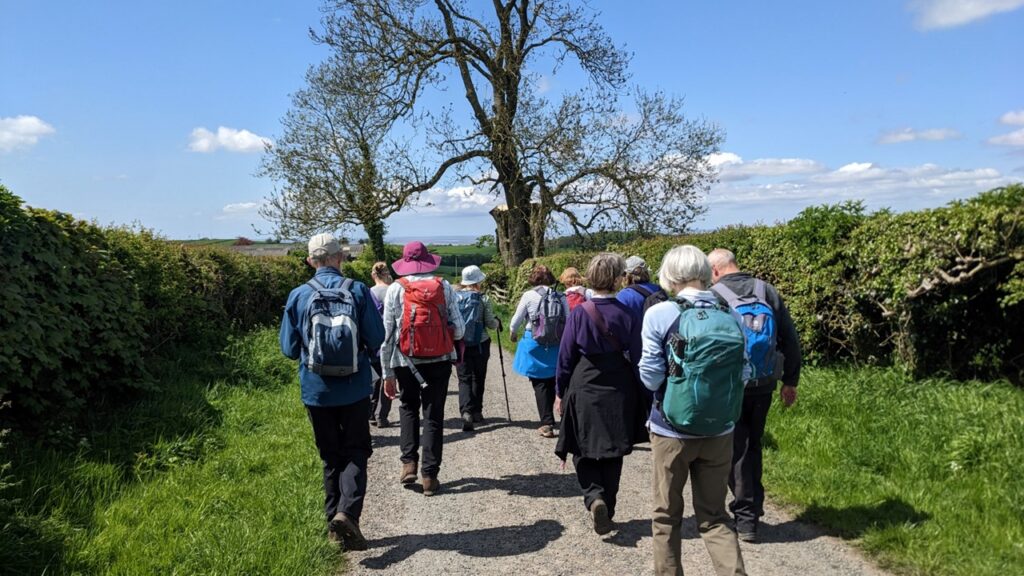 Walking down a lane in the spring sunshine; shadows on the ground and coats are tied round waists.