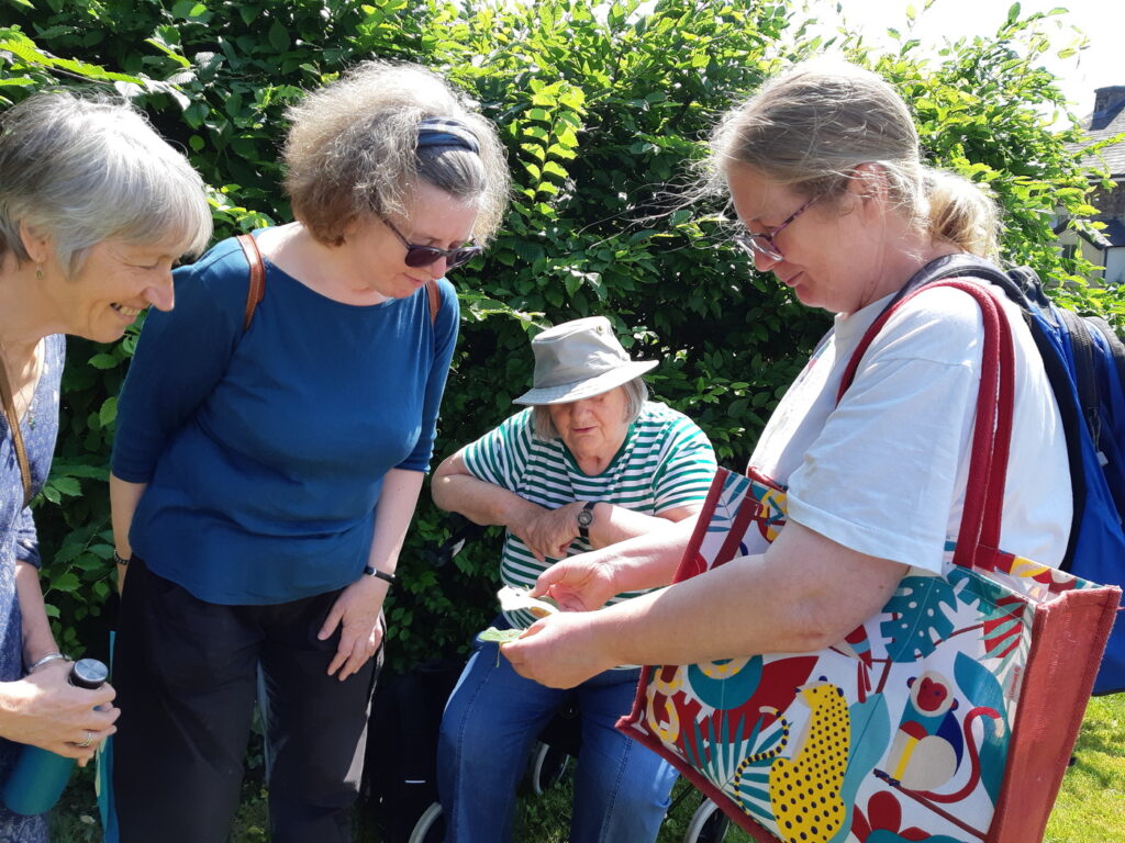 Four ladies looking closely at a ladybird found in the garden during a meeting.