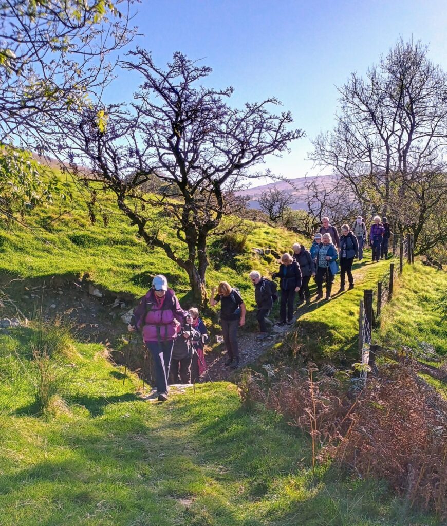 A long line of walkers coming over a hill in the sun. Fells and bare trees.