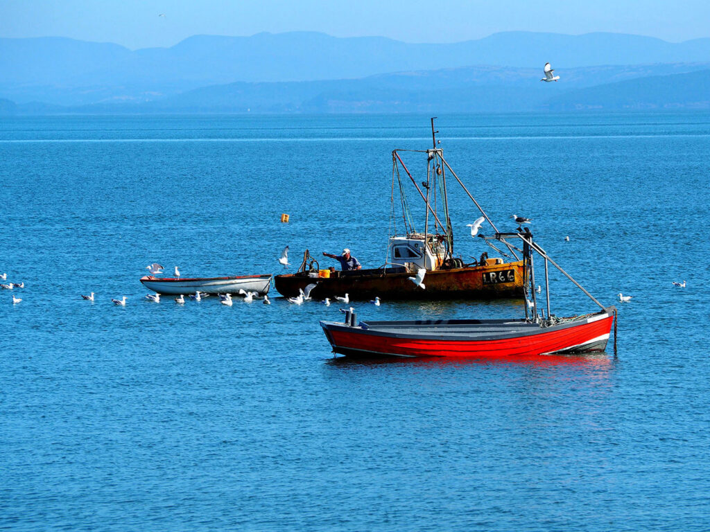 A fishing boat on the blue waters of Morecambe Bay being followed b y gulls. A red boat in the foreground and fells in the background.
