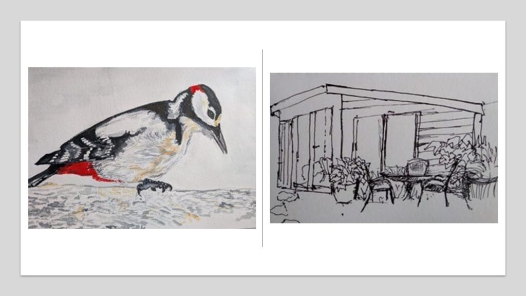 A woodpecker and an outside garden conservatory scene