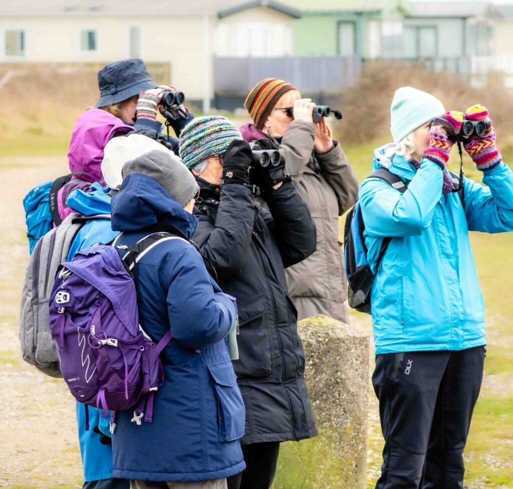 Bird watchers peering into the distance with binoculars